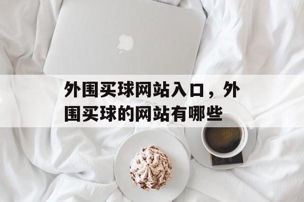 外围买球网站入口，外围买球的网站有哪些